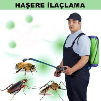 Kocaeli Böcek İlaçlama